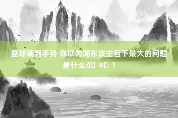 篮球裁判手势 你以为湖东谈主目下最大的问题是什么🤔？